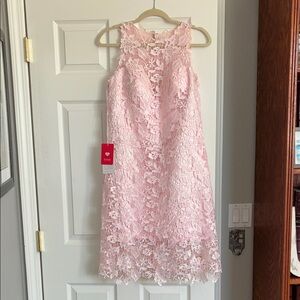 JJs House Blush Pink Lace Mini Dress